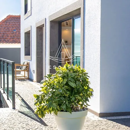 Domingos By Escape To Madeira Ribeira Brava