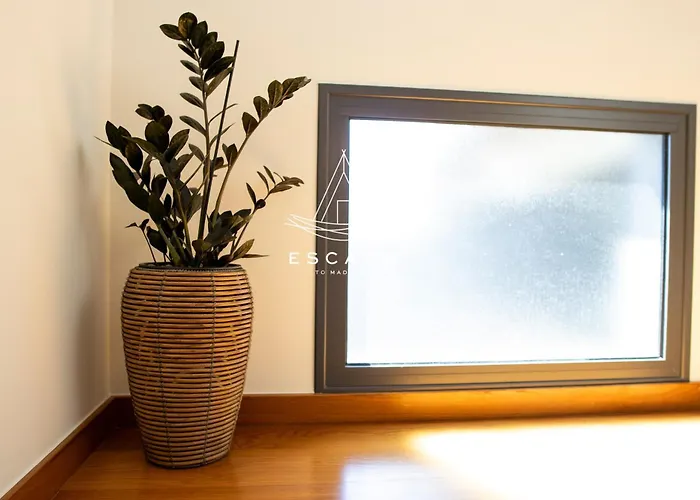 Domingos By Escape To Madeira